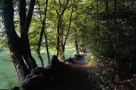 Les belvédères du roc de chère offrent une vue magnifique sur le lac d'annecy, la baie de talloires, la tournette et le massif des bauges. Annecy La Reserve Naturelle Du Roc De Chere The Other Paths