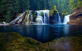 Forest Waterfall Wallpapers Hd Desktop And Mobile Backgrounds We have 51 wallpapers in waterfall collection. forest waterfall wallpapers hd