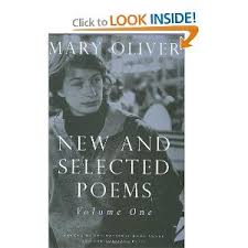 Amazon Com New And Selected Poems Volume One 9780807068786 Mary Oliver Bo Reading Quotes Author Quotes Poems