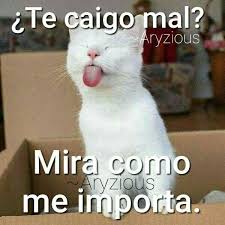 Imágenes graciosas lindas - Imágenes graciosas