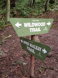 Wildwood Trail From Lower Macleay Heading To Pittock Mansion In Forest Park Portland Or Forest Park Park Trails Wildwood