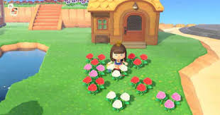 We did not find results for: Acnh Pink Roses How To Get Breed Animal Crossing Gamewith