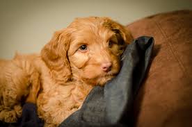 Phillip Broome Photography