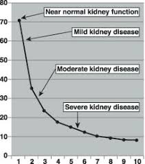 kidney disorder creatinine