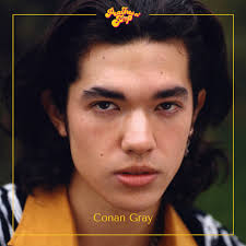 Conan Gray Prepares for New Music in 2025 with Evolving Sound and Lyrical  Depth
