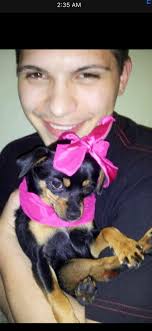 Lost cat in South Bend, Indiana, needs help finding him