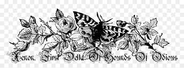 Explore the 39+ collection of black and white clipart of flowers images at getdrawings. Vintage Black And White Flower Clip Art Clip Art Designs Vintage Flowers Clipart Black And White Hd Png Download Vhv