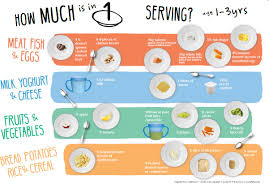 Getting Portion Size Right Toddlebox