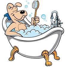Dog Fun Art Funny Bath Cartoon Funny Dog Bath Cartoon Dog Soap Cartoon Animals Funny Animal Images