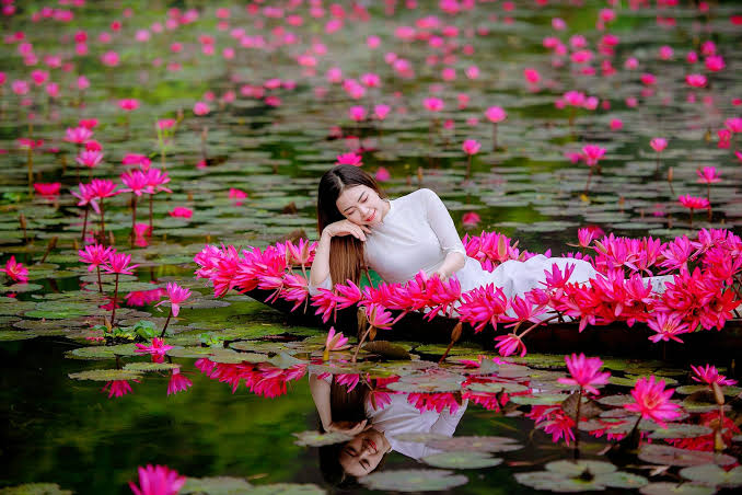 Lạc vào công viên khủng long “siêu to khổng lồ” tại Ninh Bình