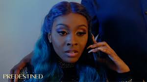 Predestined (TV Mini Series 2020– )