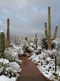 Wake up doubletree buffet $15.00. Winter Paradise National Parks Beautiful Nature Beautiful Landscapes