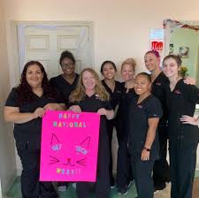 Competitive salary (some positions include bonuses) medical, vision, dental, short/long term disability, life insurance operations. Pet Medical Center Of Katy Home Facebook