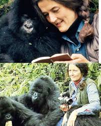 Movie Review: Gorillas in the Mist, a True Story of Conservation