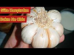 Kuru Oksurugu Sip Diye Kesecek Balgam Sokturucu Ev Yapimi Antibiyotik Youtube 2020 Dogal Saglik Dogal Tedaviler Ev Yapimi