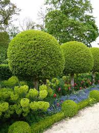 Sichtschutz Heckenpflanzen Formen Garten Kugeln Buchsbaum Tulpen Garten Buchsbaum Garten Und Gartendesign Ideen
