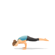 Yoga Pose Flying Pigeon Cat Cow Pose Cat Yoga Cool Yoga Poses