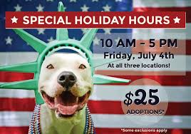 It was originally a temporary location to help us find homes for pets during the holiday season and was an immediate success. Home Kansas City Pet Project In Kcmo Animal Projects City Pets Pets