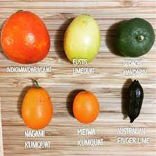 すだち or 酢橘) is a small, round, green citrus fruit of japanese origin that is a specialty of tokushima prefecture in japan. Fall Citrus Varieties Citrus Trees Growing Citrus Fruit Packaging