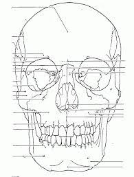 Check spelling or type a new query. Coloring Pages Free Anatomy Coloring Pages For Kids