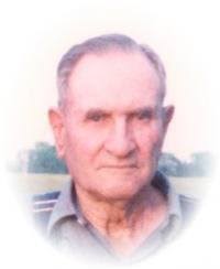 Obituary information for L. G. Harms