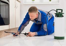 Now $59 (was $̶1̶0̶8̶) on tripadvisor: Winter Park Pest Control Florida S Finest Exterminator In Winter Park