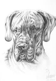 Hund Malen Lassen Das Musst Du Uber Die Verschiedenen Moglichkeiten Wissen Hund Malen Hund Illustration Tiere Zeichnen