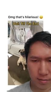 Grandma under Blanket with Fan and Dog Farts in Fan