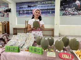 北門哈嚕HARU洋香瓜果肉厚實甜度高今年產量少欲購從速- 台南市諮商心理師公會