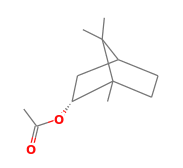 Image result for Monanthotaxis afra