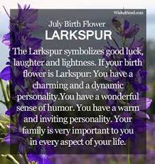 July Birth Flower Larkspur With Images Birth Flowers July Birth Flower Birth Month Flowers
