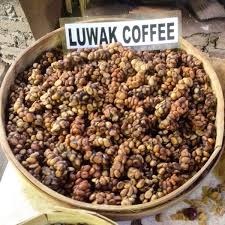 100% certified wild kopi luwak coffee. Kopi Luwak The Civet Coffee Visit In Bali Coffeesphere