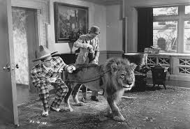 The Sin of Harold Diddlebock (1947) | ČSFD.cz