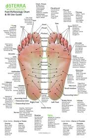 Hand Foot Reflexology On Cardstock 8 5x5 5 Sheet Oil Life