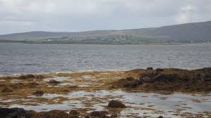 Four acre mannion island is approximately 60 percent fertile, which means it's 40 percent a total barren mystery. Want To Own Your Own Irish Island There Are Several For Sale