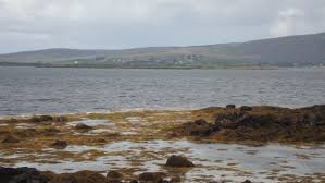 Located off the coast of west cork . Want To Own Your Own Irish Island There Are Several For Sale