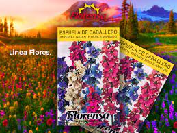 Florensa Argentina Espuela De Caballero