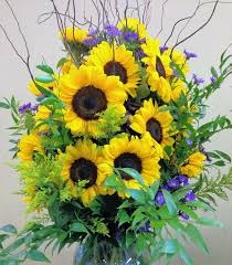 We did not find results for: Grow Flowers And Foliage For Summer Bouquets