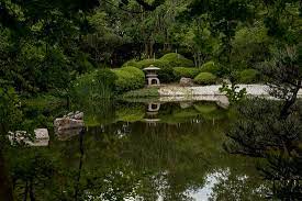 Japanese Garden In Houston Review Of Hermann Park S Japanese Garden Houston Tx Tripadvisor