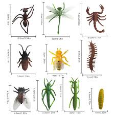 This includes the head, thorax and abdomen, as well as compound eyes, a pair of antennae, and three pairs of jointed legs. Bugs World Catcher Kits For Kids Explorer Catch Examine Insects Kit With Bug Containers Helps Cater To Kids Natural Curiosity Biology Aliexpress