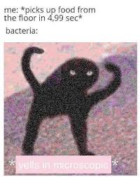 Pin By Le Pastel On Tumblr Funny Relatable Memes Funny Memes Stupid Memes