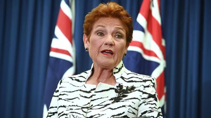 Pauline Hanson launches fresh bid to overturn a court ruling | The Australian