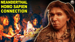 Human vs neanderthal the difference between humans and neanderthals is their height, size and morphological features. Did Homo Sapiens Really Mate With Neanderthals Youtube
