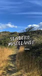 🤗He tenido días muy lindos y llenadores de energía, con personas que están  -y estarán- en mi ❤️ por siempre. Gracias por tus cuidados y postres @ adela.chamorro.ch , por la visita y