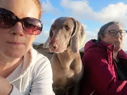 Spy (Thriller x Gaia) is growing like a weed. Six months old next week and  nearly as tall as his brother from another mother!