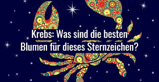 Welches sternzeichen passt zu den zwillingen? Krebs Was Sind Die Besten Blumen Fur Dieses Sternzeichen