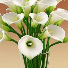 Il fiore maggiormente raffinato, elegante e che viene anche considerato di lusso, è la rosa che da sempre aiuta a garantire uno stile molto particolare, anche quando si usa in casa per arredare. Calle Bulbi