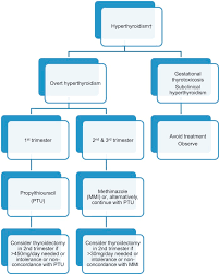 Benign Thyroid Disease In Pregnancy A State Of The Art Review Abstract Europe Pmc
