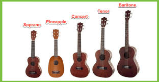 ukulele size guide all you need to know zing instruments