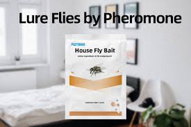 We're here to help you keep your business free from pests and termites. House Fly Bait